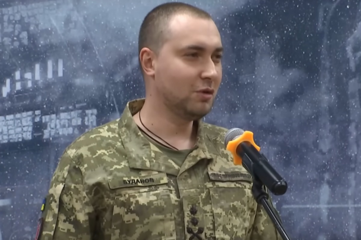    Глава ГУР Украины Буданов поступает в аспирантуру на политологию