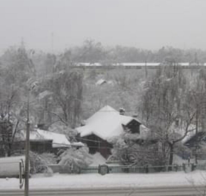 Зимой всё кажется более красивым. Узоры на окнах, белые шубки на деревьях и тишина. 