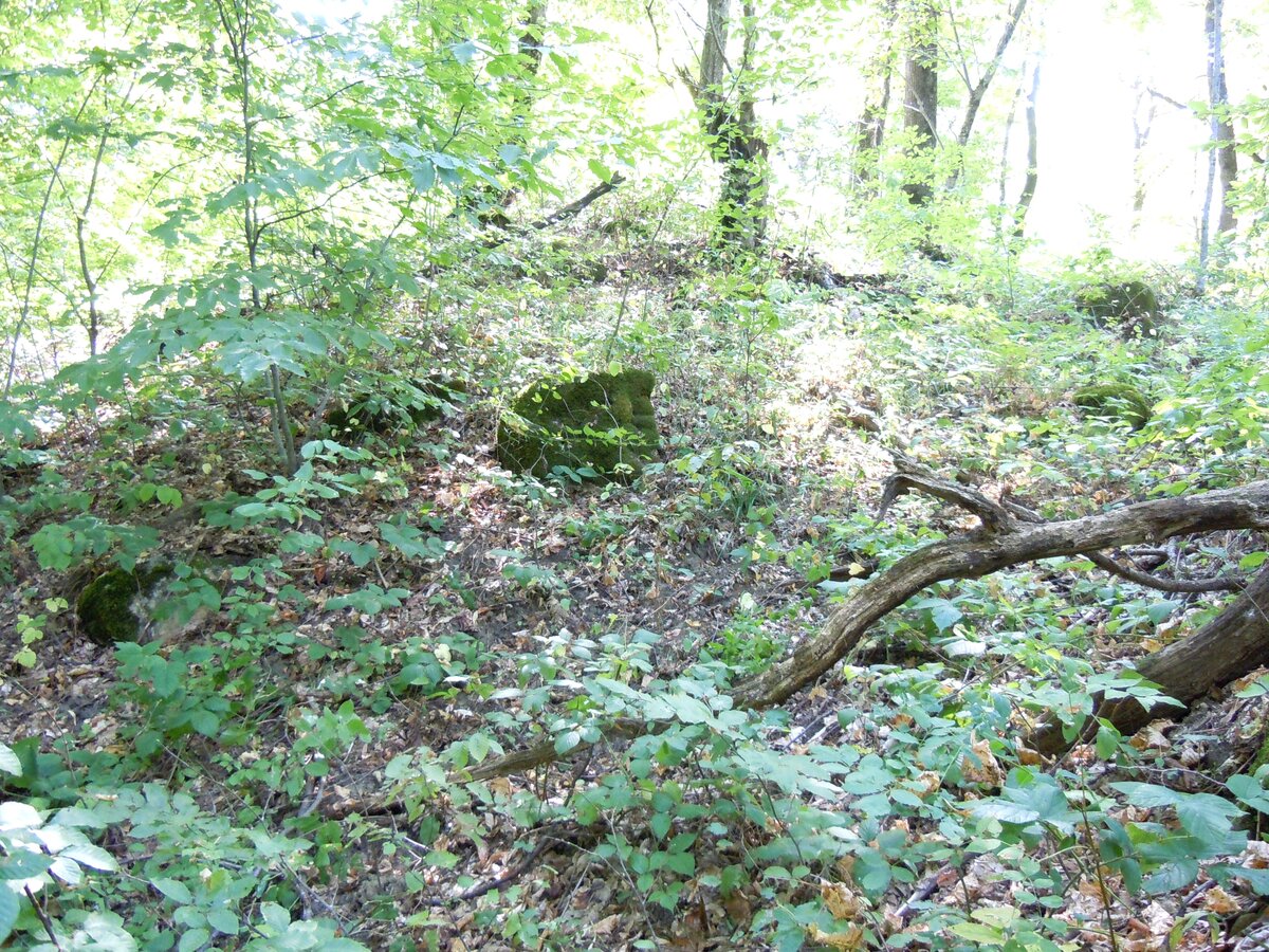 8. Вид с востока на ложбину и уже южную половину