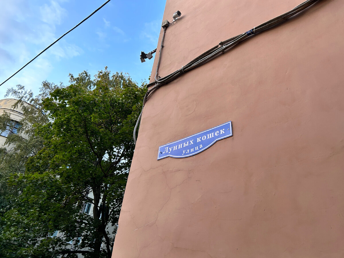 Есть улицы центральные, высокие и важные,
С витринами зеркальными, с гирляндами огней.
А мне милей бесшумные, милей - одноэтажные.
От их названий ласковых становится светлей…