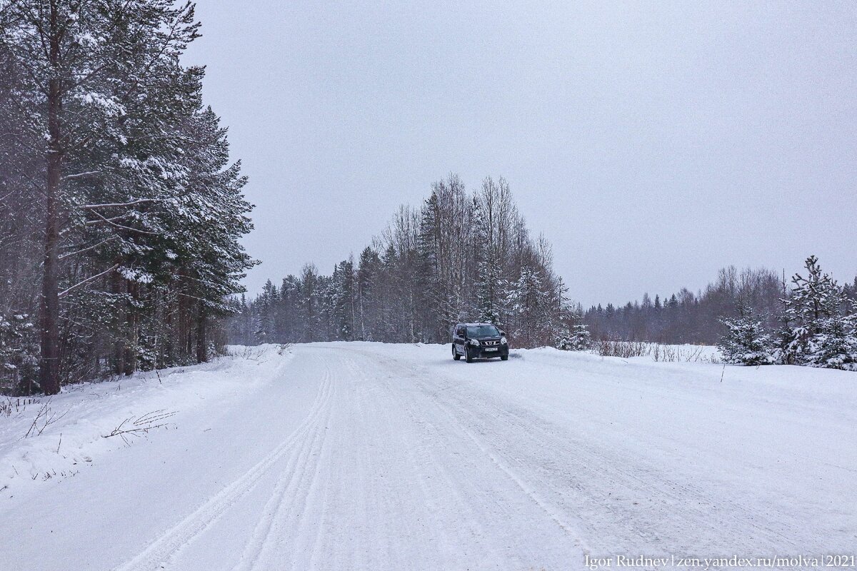 Вокруг на десятки километров ни души, а около дороги стоят машины.  Удивился, когда узнал, зачем они там | Путешествия по планете | Дзен