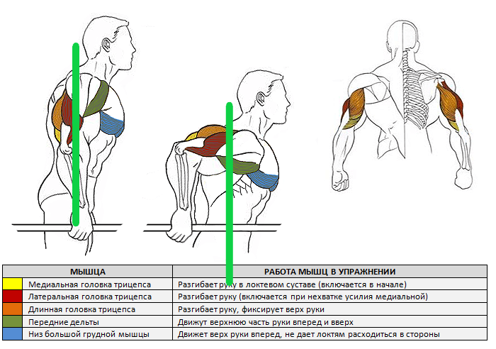 источник: fit-baza.com