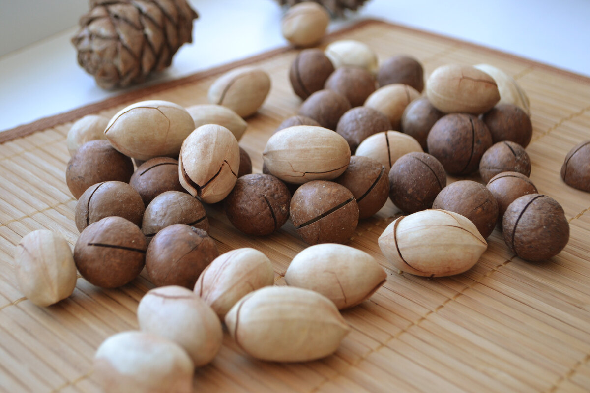 National Pecan Sandy Day