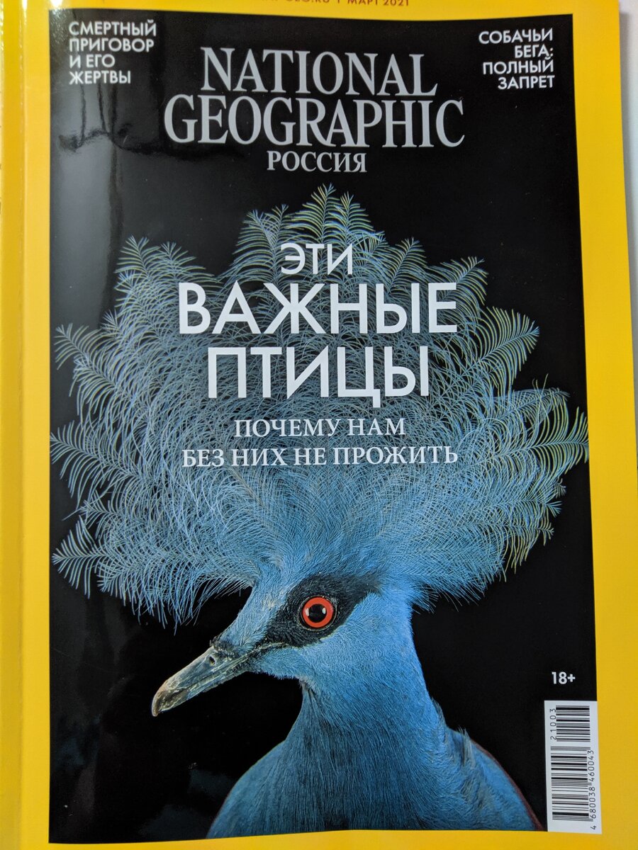 март 2021 National Geographic Россия