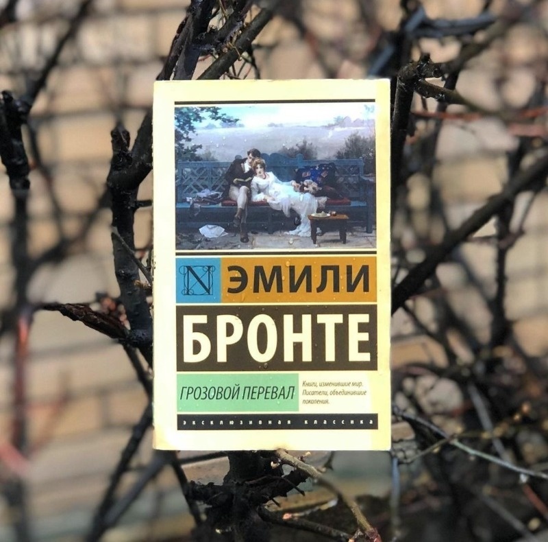 Источник фото https://www.instagram.com/p/B9O_gGloZKg/