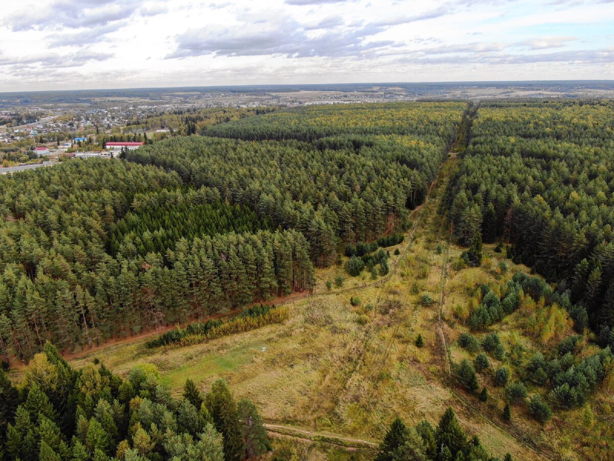 Сосновый Бор в Московской области с высоты птичьего полета