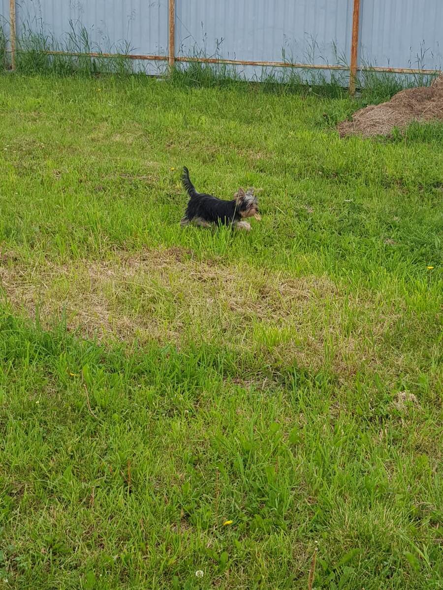 Первый день  в новом доме