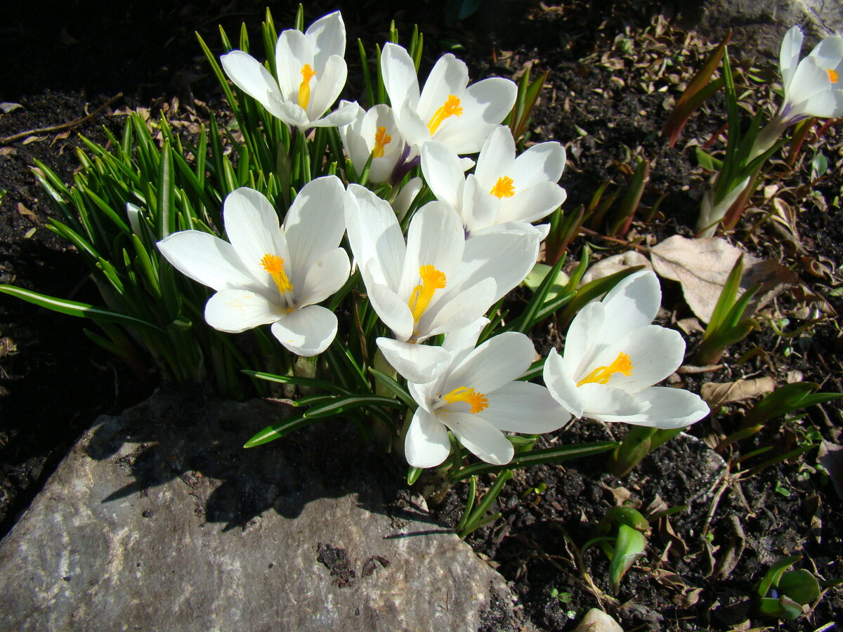 Фото автора статьи.