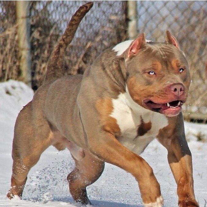 Источник: smallivingworld.ru