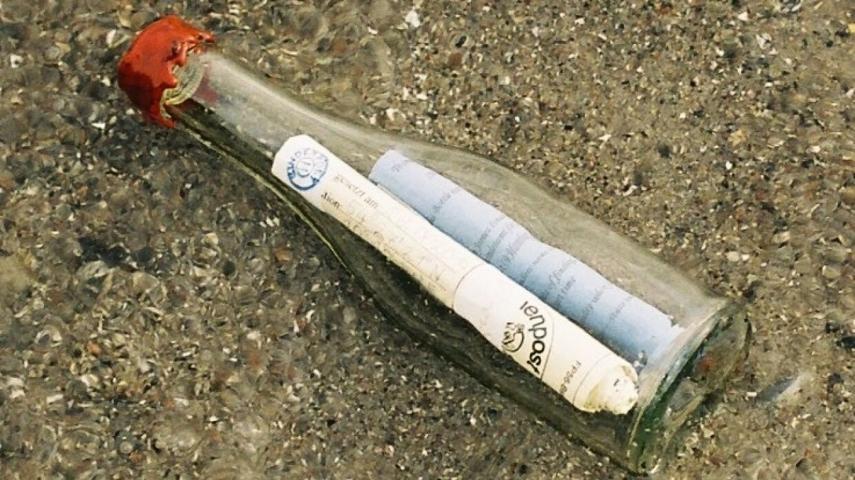 Фото взято из открытых источников