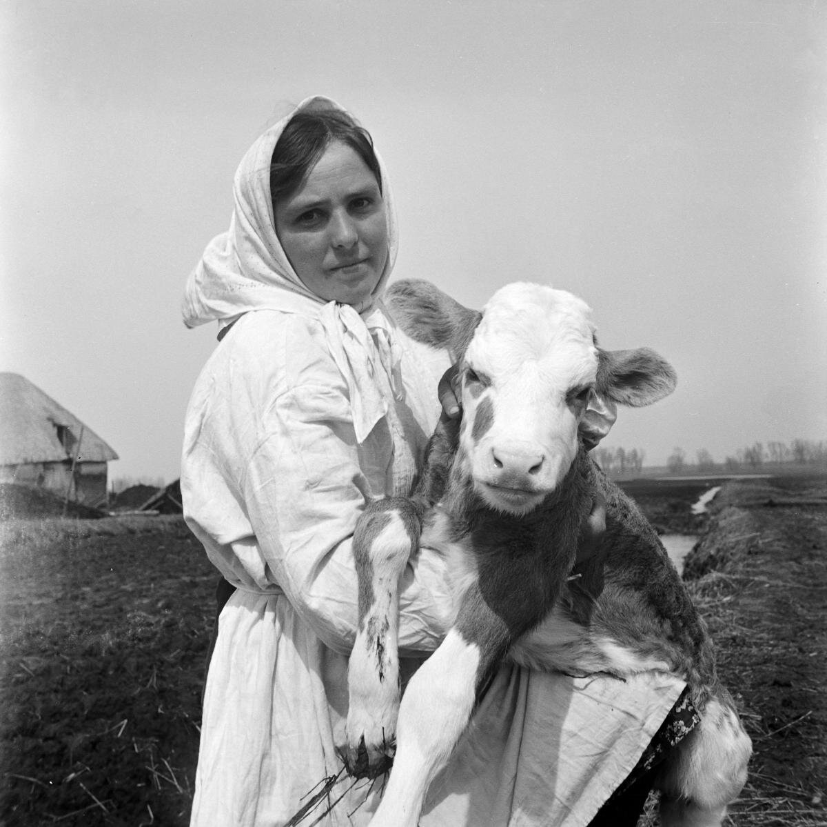  Фото взято с Яндекс картинок 