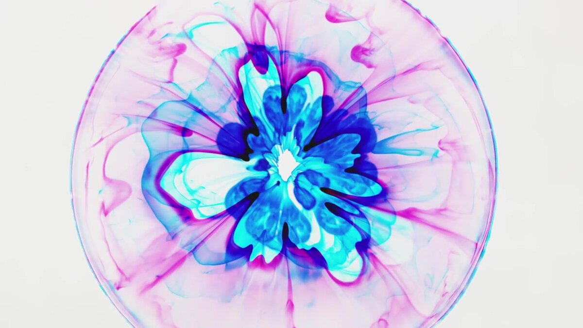 Вторник 27 Апреля 2021, Дзен Гороскопы