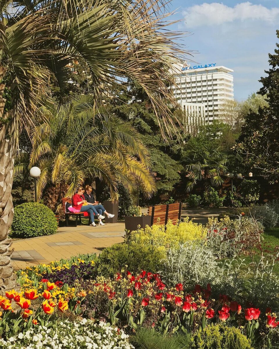 У центральной набережной Сочи (фото из инстаграм @sochi_detka)