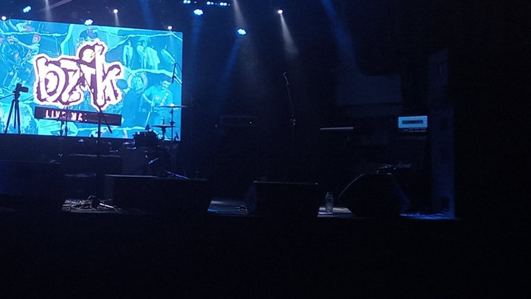 предконцертное фото