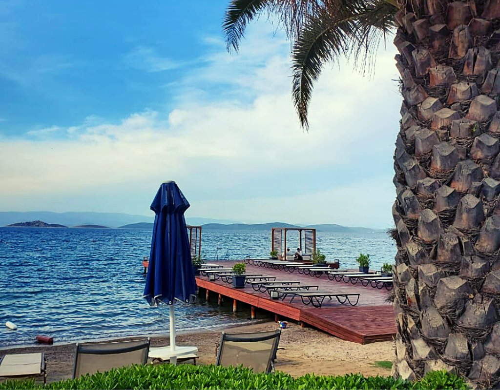 Так выглядит сейчас пляж отеля на первой береговой линии.