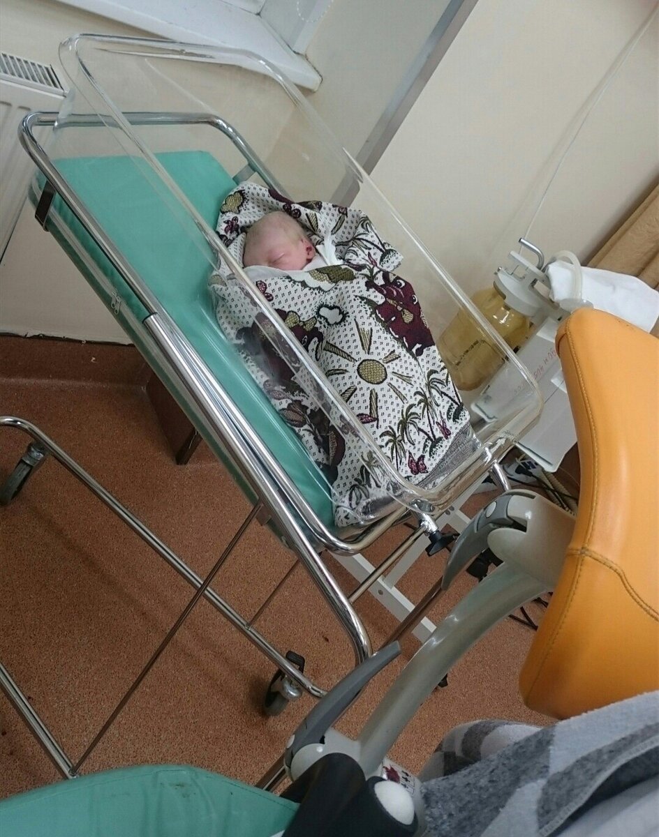 Здравствуй мир!