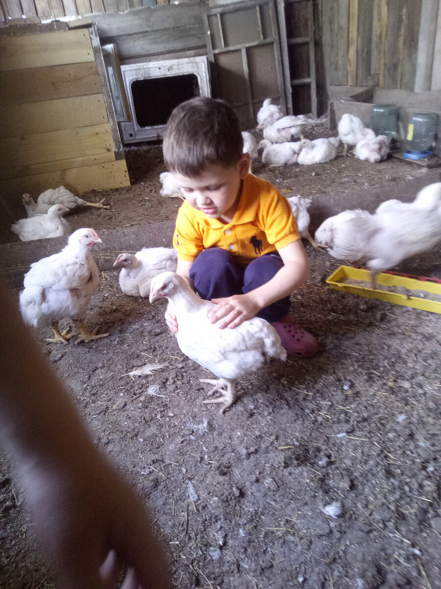 Один из моих помощников с 40 дневными бролями