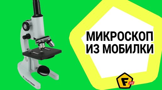 Микроскоп на Смартфон и Макросъемка со смартфона | Клуб Любителей Муравьев