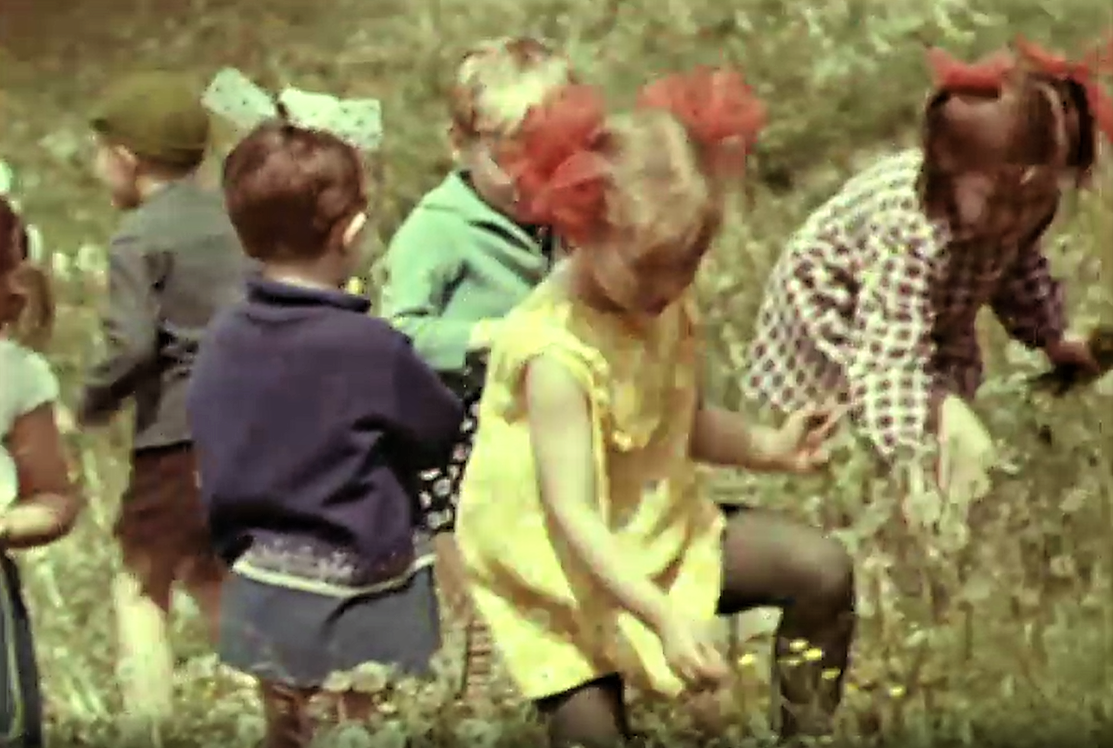 Кадр из фильма "Июнь. Румянец года" (1971)