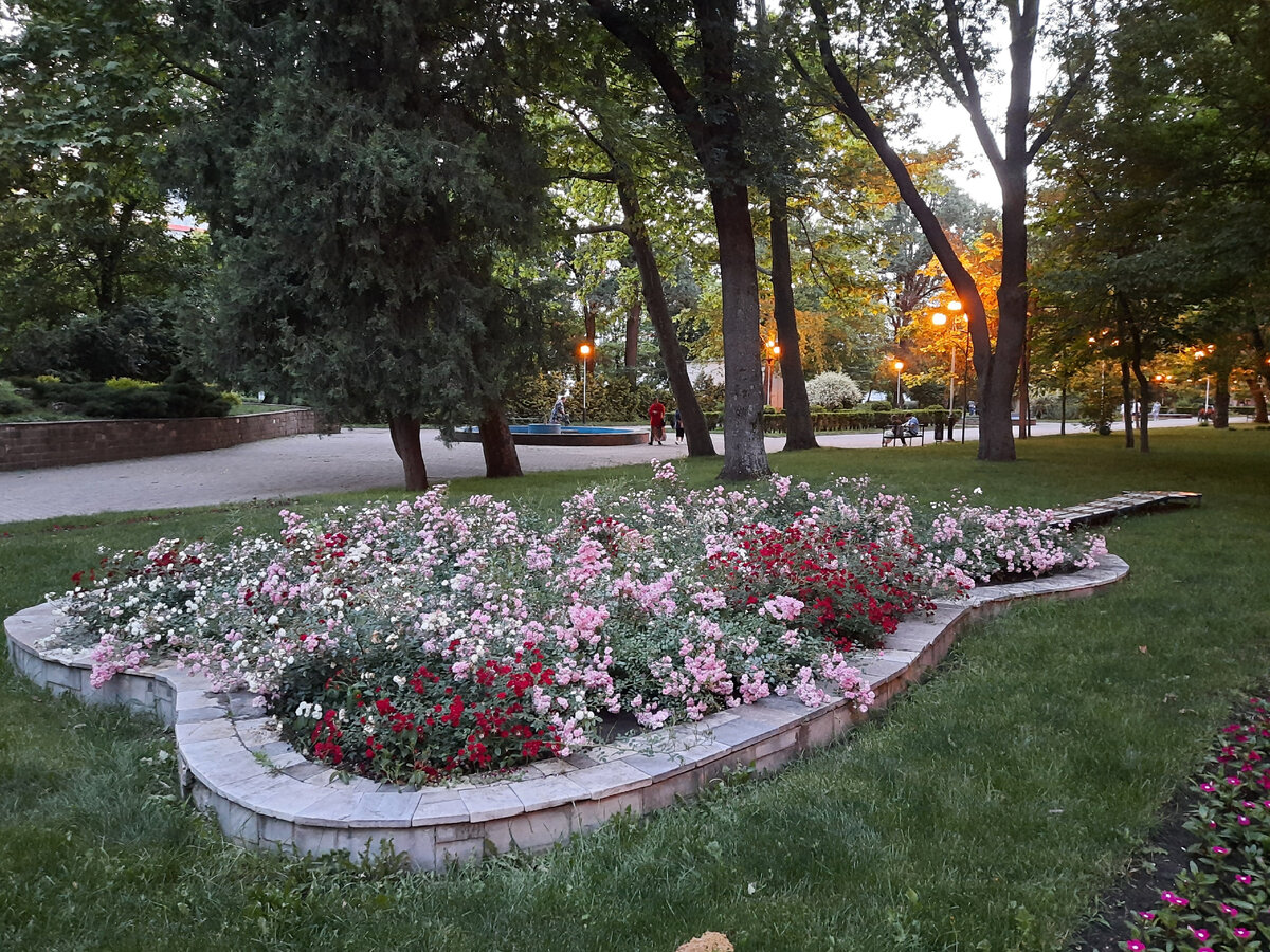 Из личных архивов