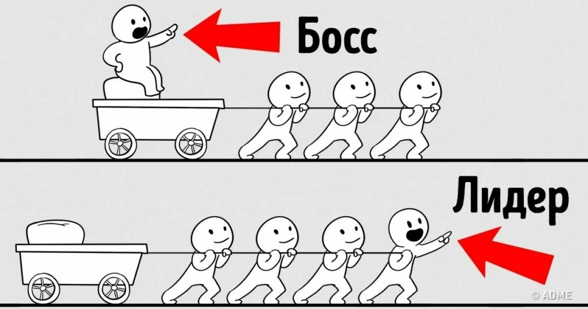 Картинка отличие лидера от босса