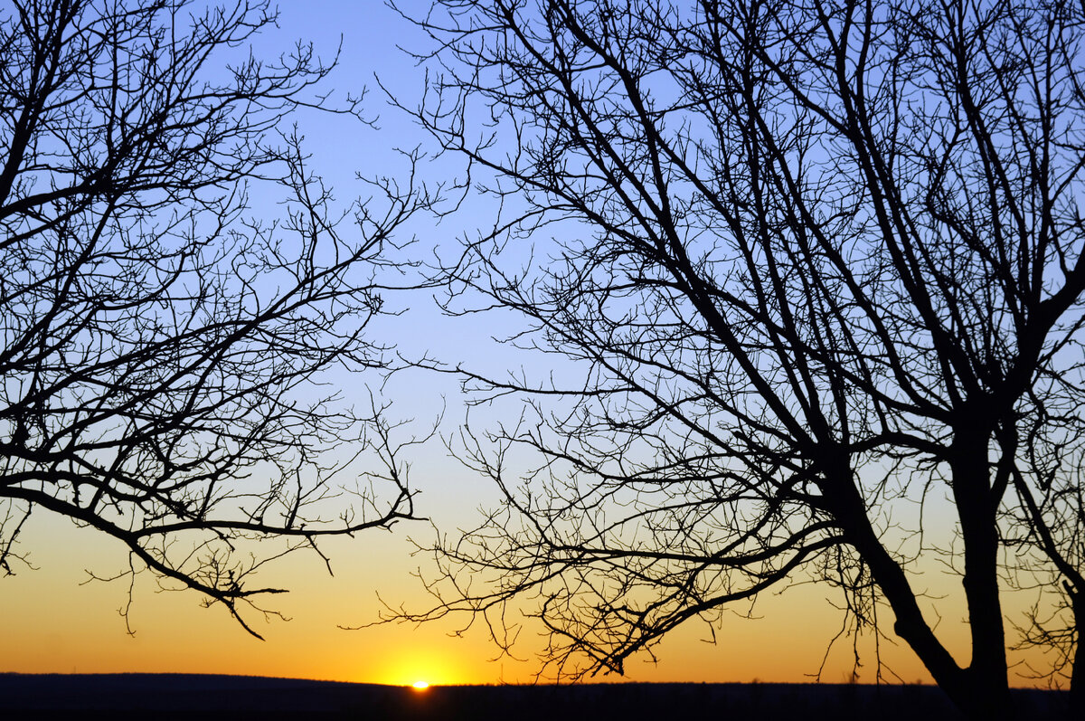 Автор мечтает-мыслит на восходе солнца как быть на карантине