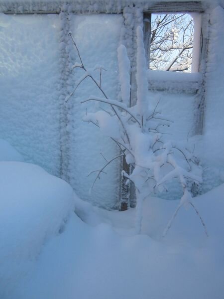 Собственное фото автора