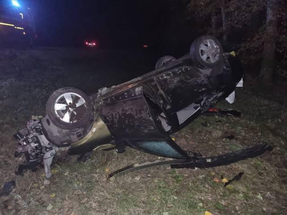     Фото с сайта ГУ МВД по Воронежской области  Предоставлено