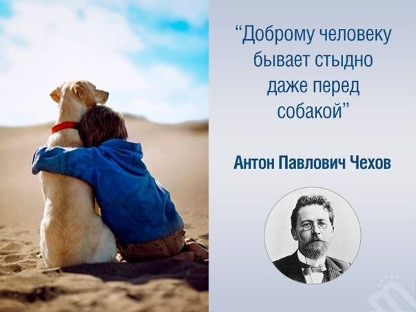 Фотография взята из открытых источников