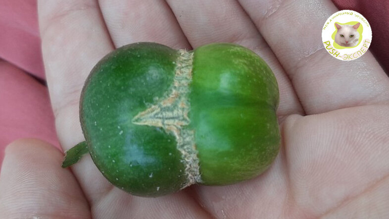 Вид с одной стороны