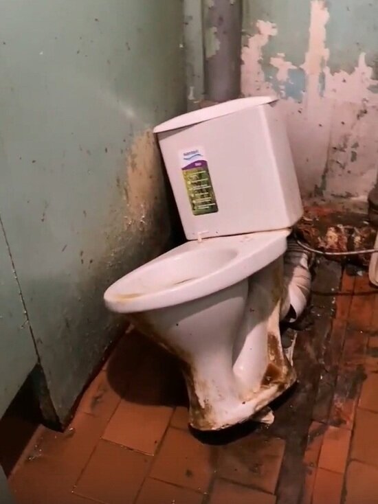     Фото: vk.com Злой Ноябрянин