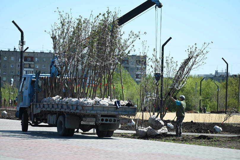     В проекте благоустройства парка «Дружбы» была предусмотрена масштабная высадка деревьев. Фото Людмилы Ковалевой.