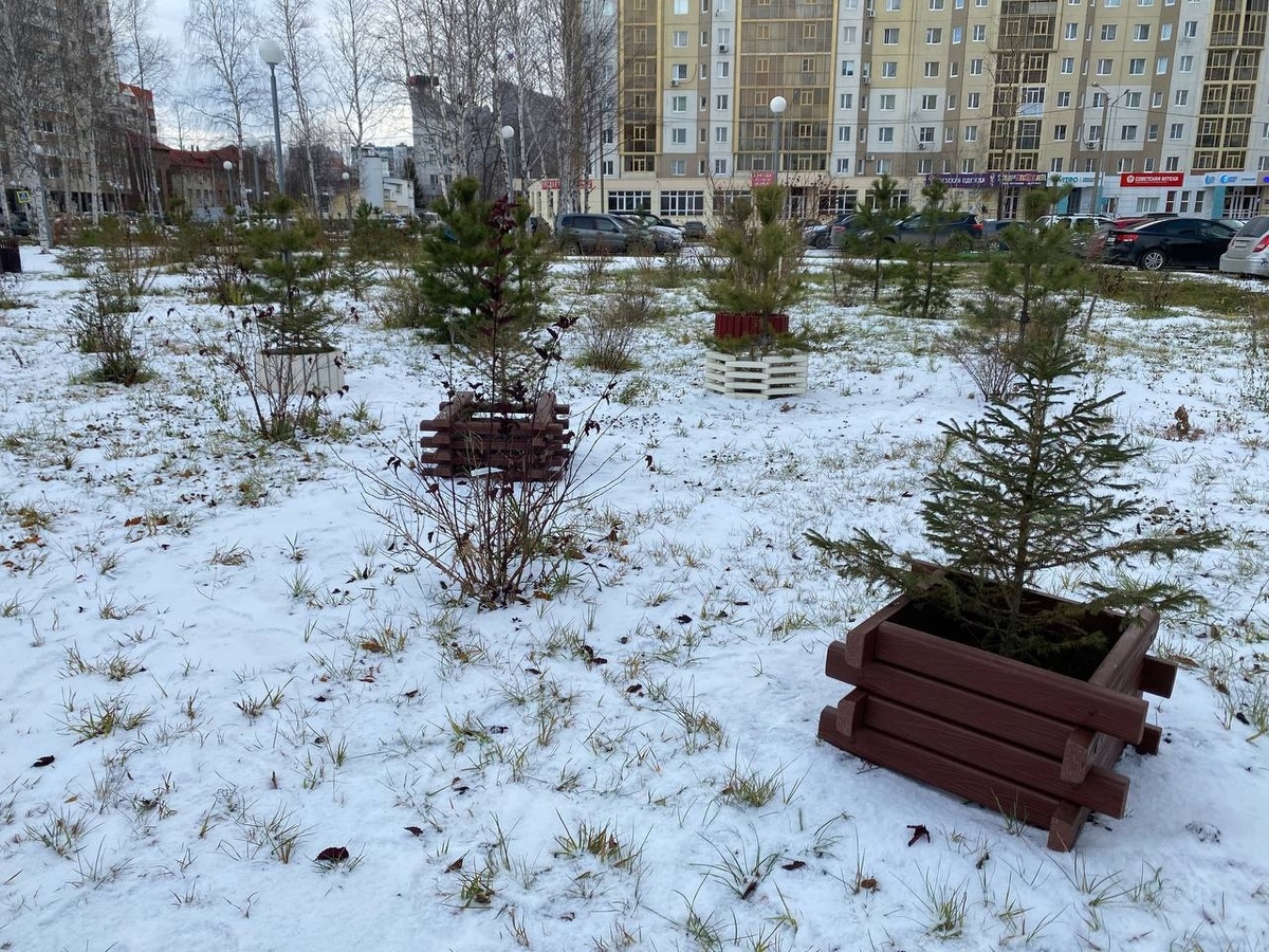    В Нижневартовске оформили городские территории элементами из экоматериалов