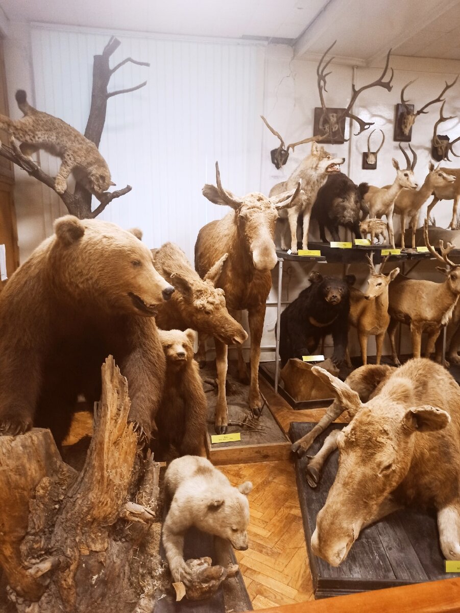 Больше фото: https://vk.com/scientifictravels