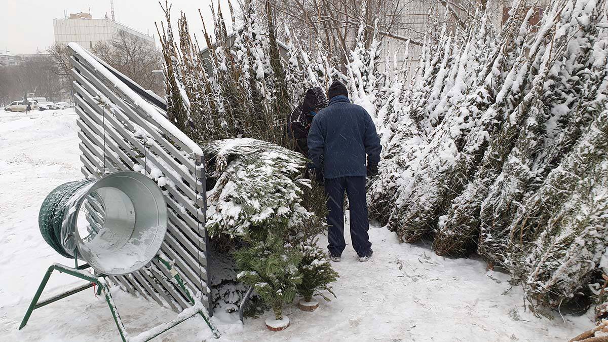    Фото: Мобильный репортер / АГН Москва