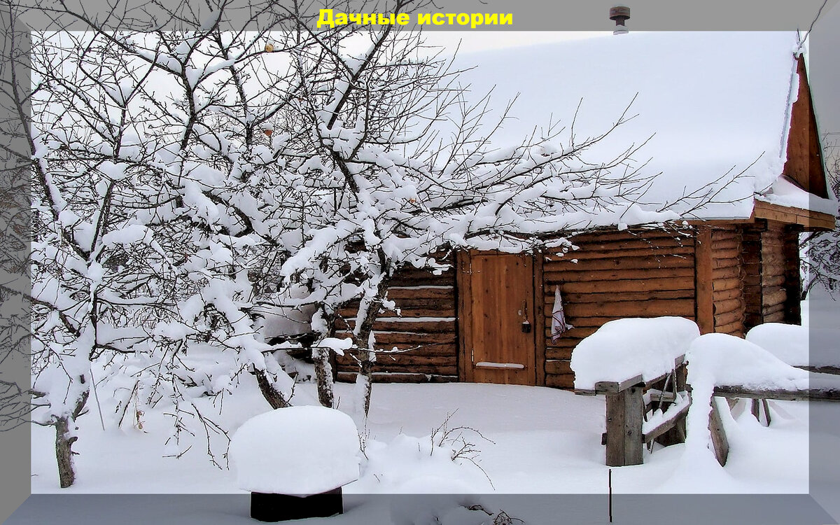 https://vk.com/photo-159774511_457257077
