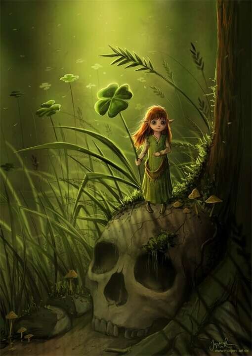 Фото взято из интернета 