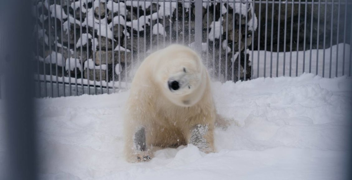    Фото: @svetlanaakulova1