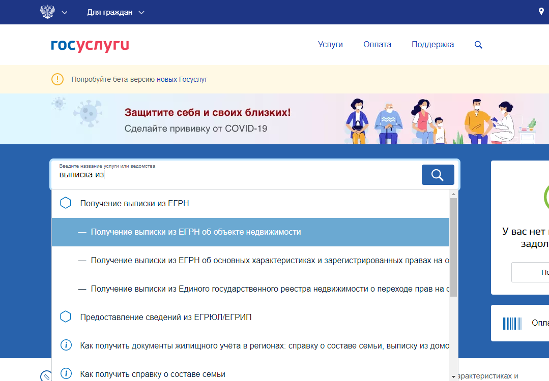 Сколько делается выписка из егрн через госуслуги. Выписка госуслуги. Выписка из ЕГРН госуслуги. Выписка из ЕГРН на госуслугах. Выписка ЕГРН через госуслуги.
