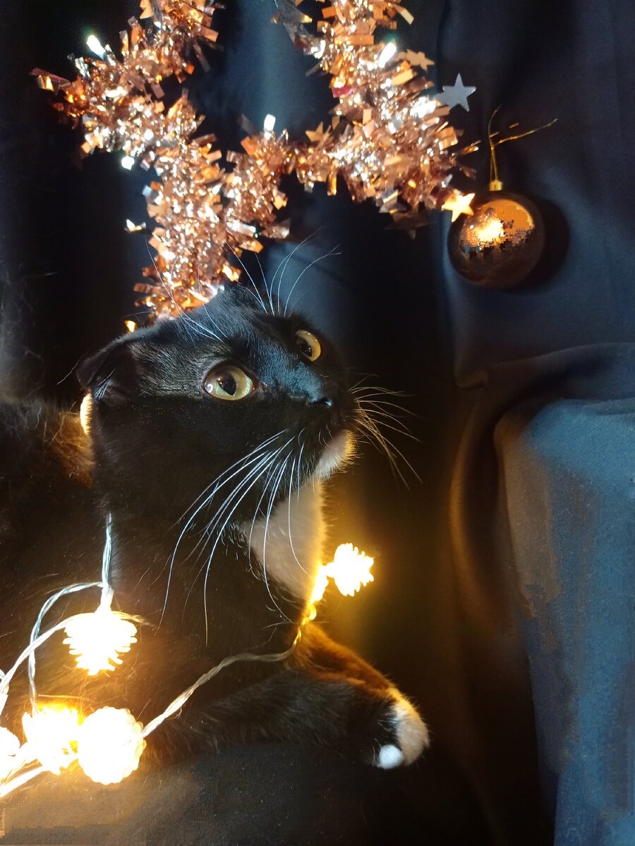 Сурен (не ноет) 