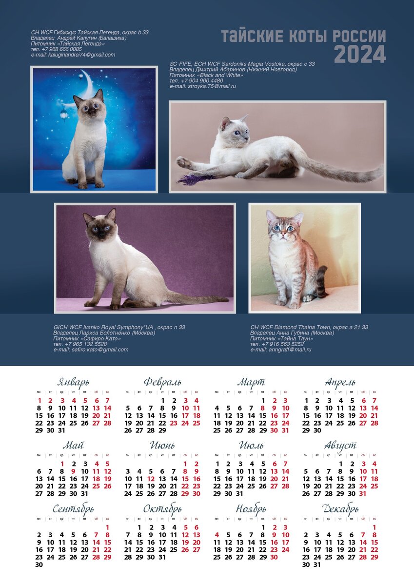 Календарь 2023 (кому надо?) | Виктория Виницкая, тайские кошки и все, что я  люблю | Дзен