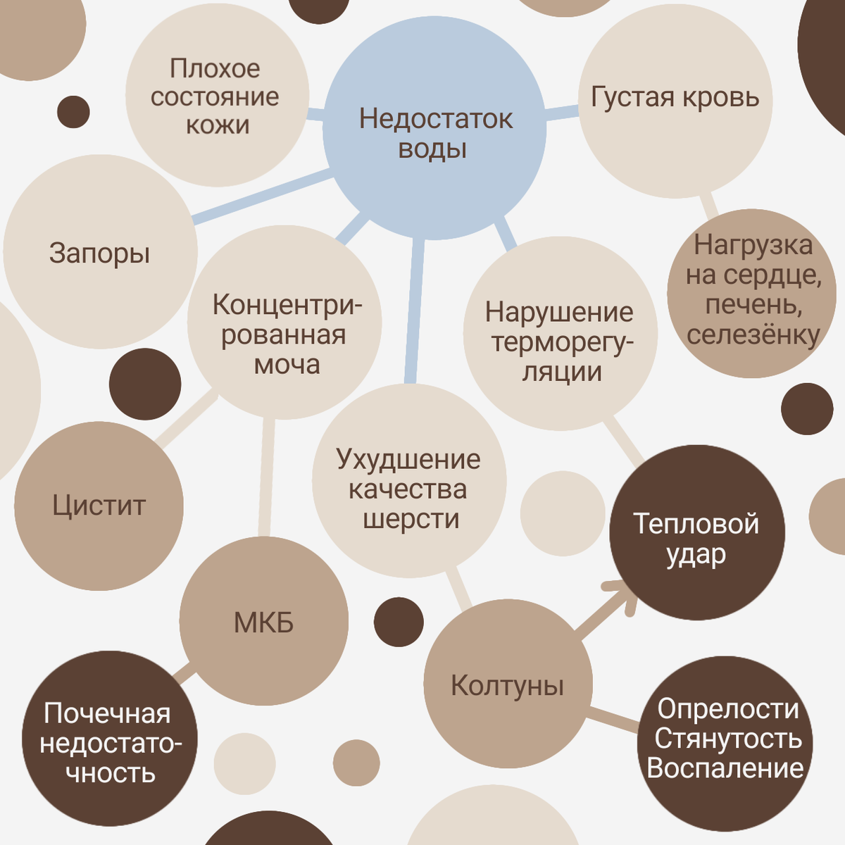 Памятка 1 — Последствия недостатка воды у кошек