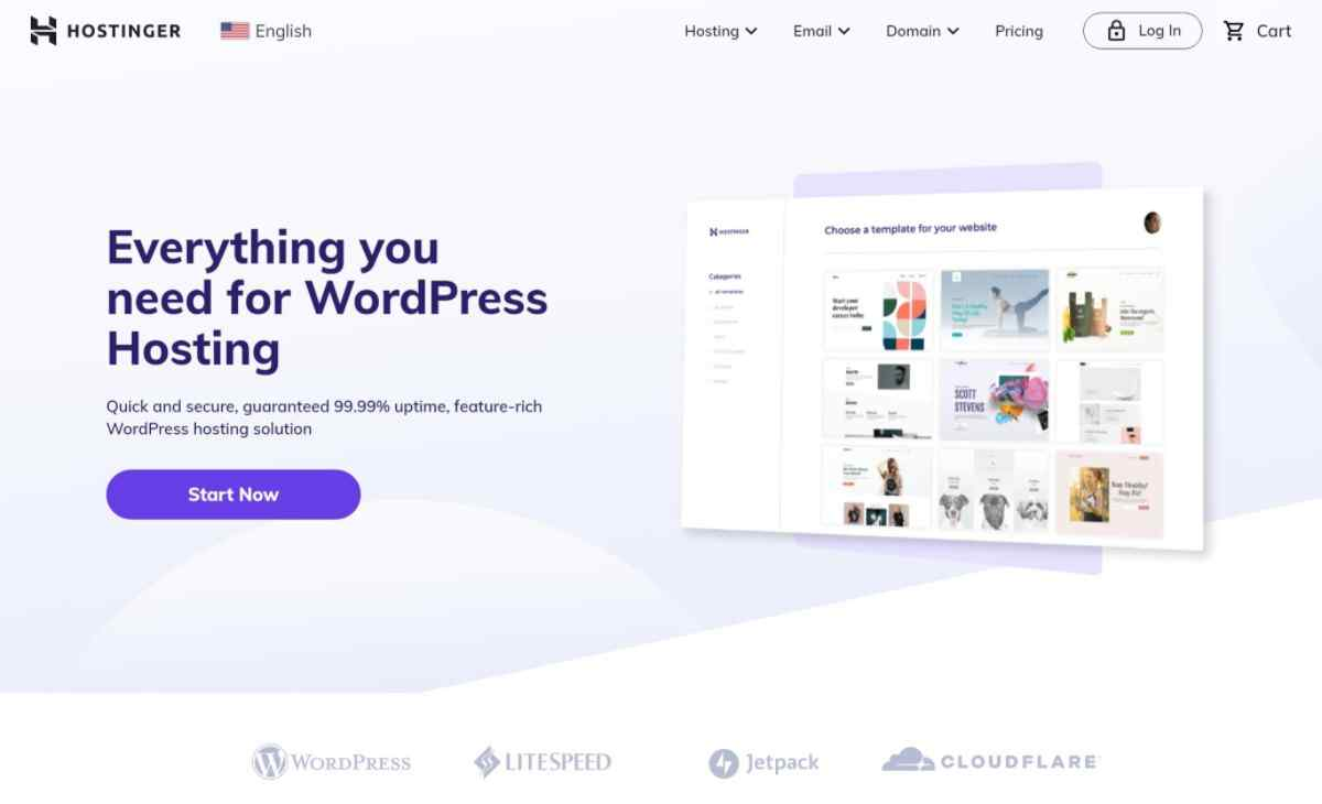 Large-host. Хостинг дизайн. Хостинг для wordpress. Web page template. Хостинг wordpress.
