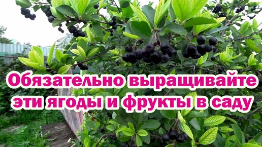 Как восполнить нехватку витаминов зимой?