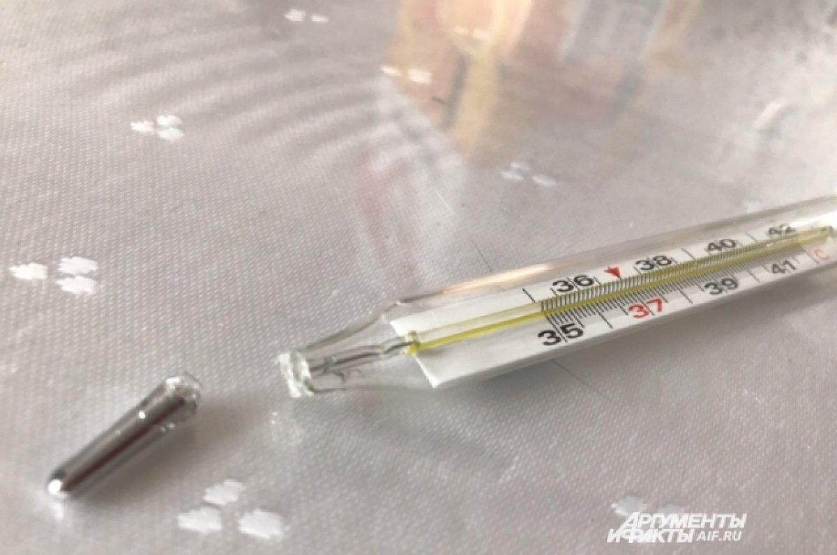    Врач Романенко напомнила об опасности разбитого ртутного градусника