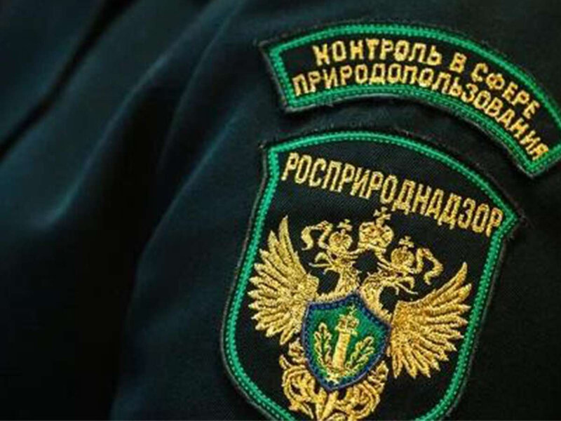    Полномочия Росприроднадзора по контролю за ликвидацией заброшенных скважин предложили урезать