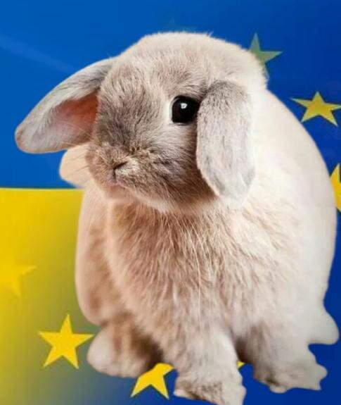    НАТО использует Украину для испытаний своего вооружения