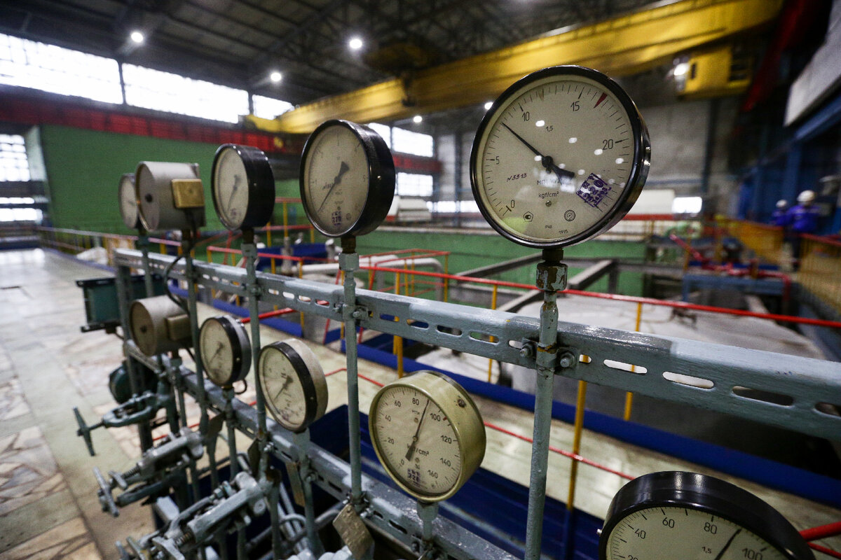 Фото: Ростислав Нетисов