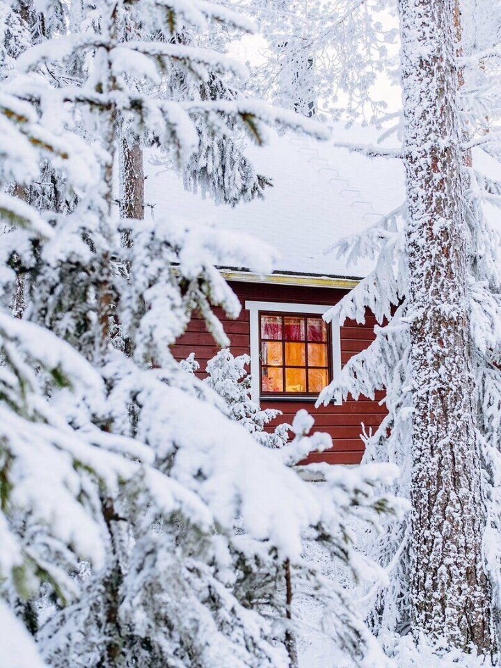 Фото заимствовано из фотостока