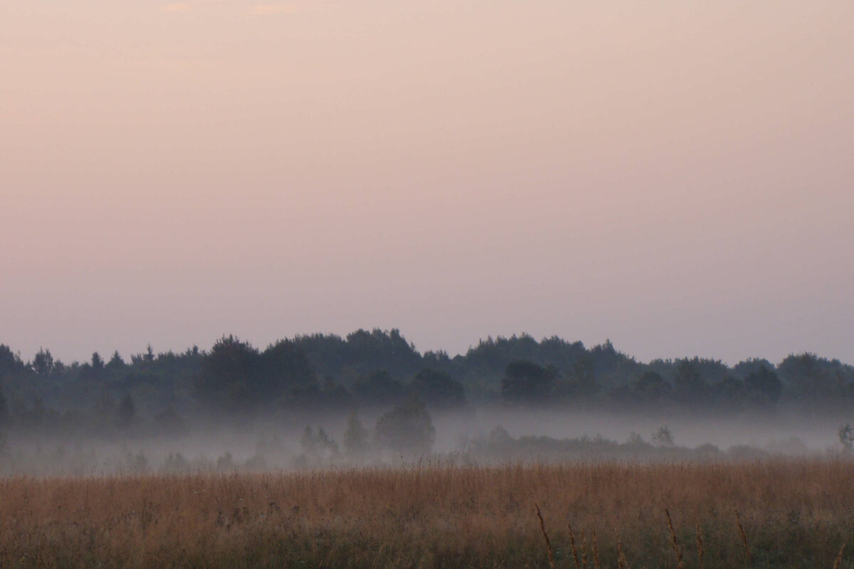 фото Лидии Бам